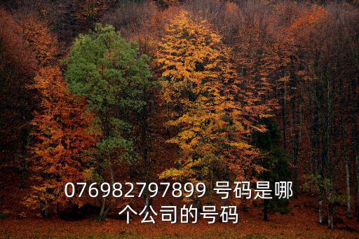 076982797899 號碼是哪個公司的號碼