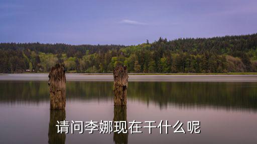 請問李娜現在干什么呢