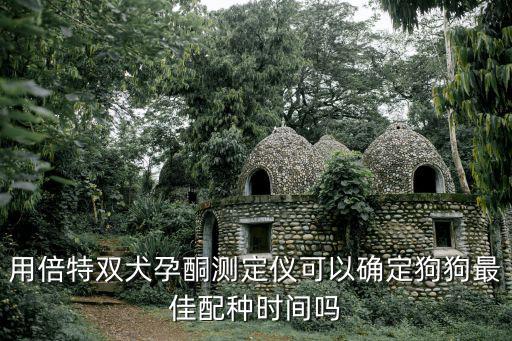 用倍特雙犬孕酮測定儀可以確定狗狗最佳配種時間嗎