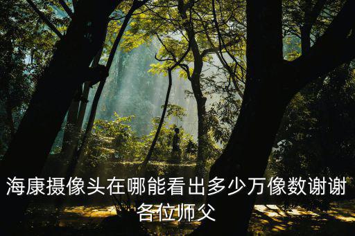 海康攝像頭在哪能看出多少萬(wàn)像數(shù)謝謝各位師父