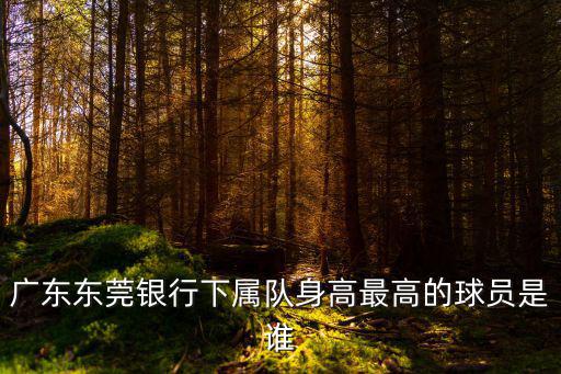 廣東東莞銀行下屬隊身高最高的球員是誰