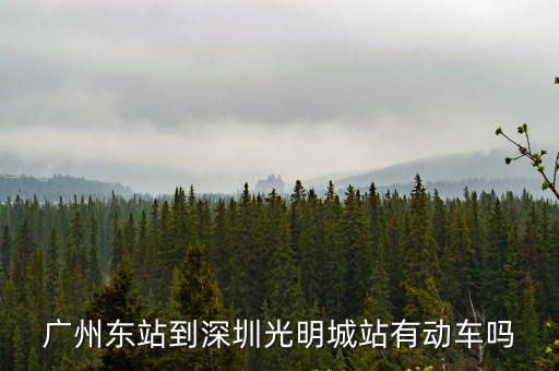 廣州東站到深圳光明城站有動車嗎