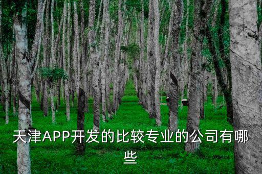 天津APP開發的比較專業的公司有哪些