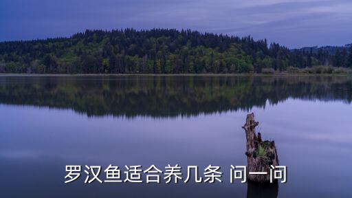 羅漢魚(yú)適合養(yǎng)幾條 問(wèn)一問(wèn)
