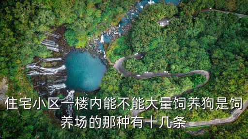 小區樓房可以養多少狗，住宅小區一樓內能不能大量飼養狗是飼養場的那種有十幾條