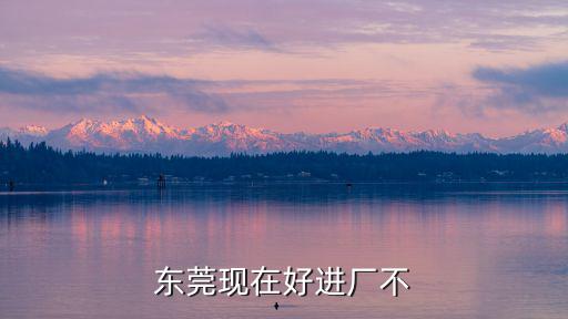 東莞現(xiàn)在好進廠不