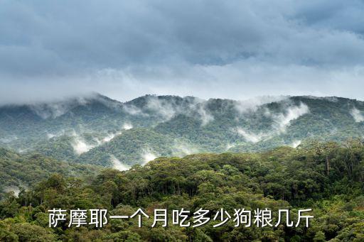 薩摩耶一個月吃多少狗糧幾斤