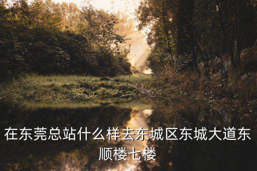 在東莞總站什么樣去東城區(qū)東城大道東順樓七樓