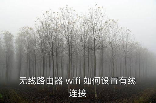 無(wú)線(xiàn)路由器 wifi 如何設(shè)置有線(xiàn)連接