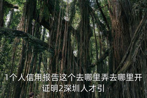 1個人信用報告這個去哪里弄去哪里開證明2深圳人才引