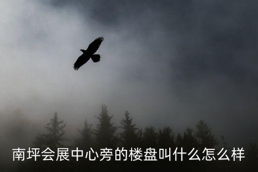 南坪會(huì)展中心旁的樓盤叫什么怎么樣