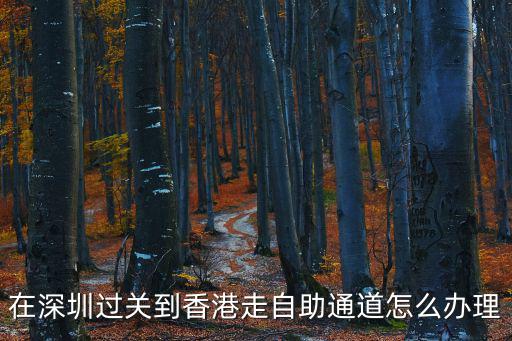 在深圳過關到香港走自助通道怎么辦理