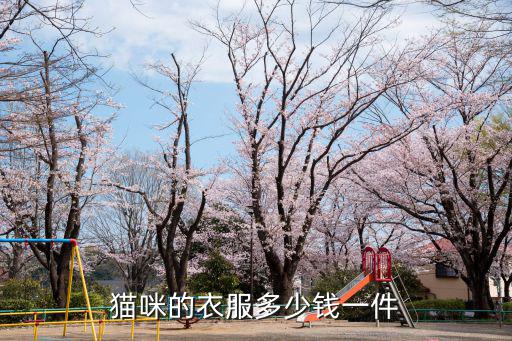 小貓衣服多少錢，一身小狗衣服多少錢