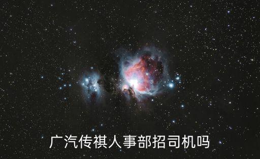 廣汽傳祺人事部招司機嗎