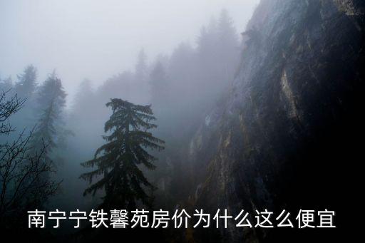 南寧寧鐵馨苑房?jī)r(jià)為什么這么便宜