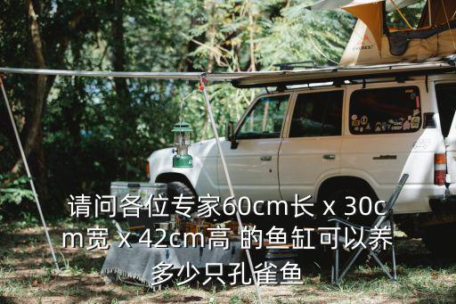 請問各位專家60cm長 x 30cm寬 x 42cm高 的魚缸可以養多少只孔雀魚