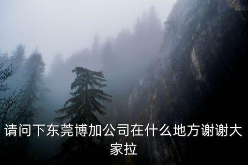 東莞博飛特在哪，東莞莞太路38號在哪里
