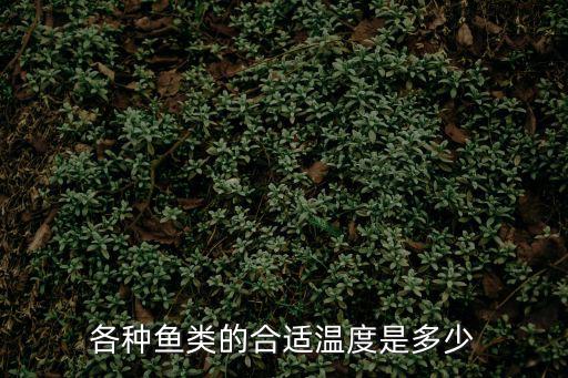 各種魚類的合適溫度是多少