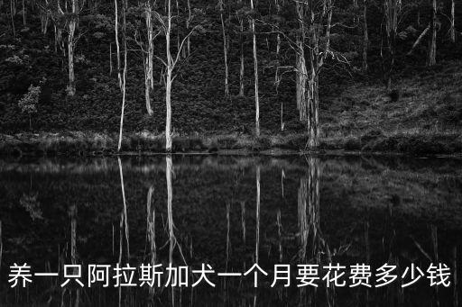 養(yǎng)一只阿拉斯加犬一個(gè)月要花費(fèi)多少錢