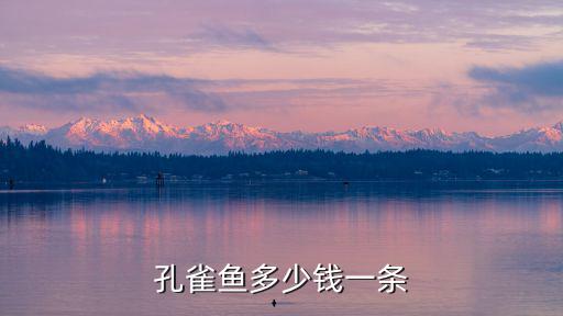 孔雀魚多少錢一條