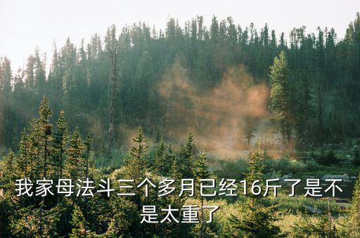 我家母法斗三個(gè)多月已經(jīng)16斤了是不是太重了