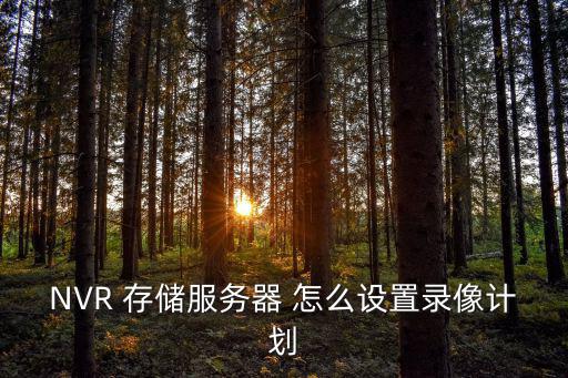NVR 存儲服務器 怎么設置錄像計劃