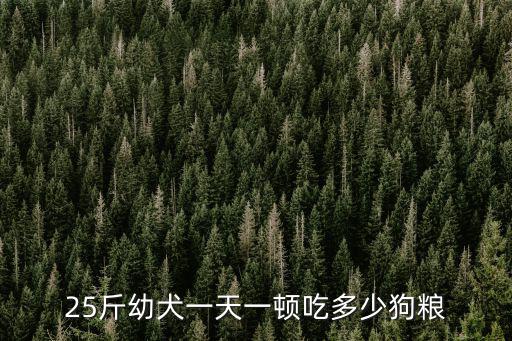 兩斤重的狗吃多少狗糧，25斤幼犬一天一頓吃多少狗糧