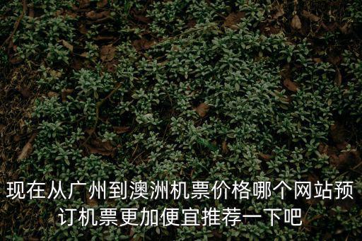 現在從廣州到澳洲機票價格哪個網站預訂機票更加便宜推薦一下吧
