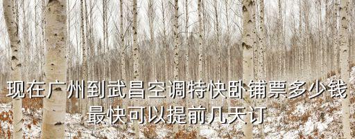 現在廣州到武昌空調特快臥鋪票多少錢最快可以提前幾天訂