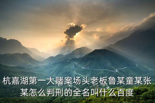 杭嘉湖第一大賭案場頭老板魯某童某張某怎么判刑的全名叫什么百度