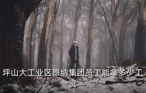 坪山大工業區昂納集團員工能拿多少工資