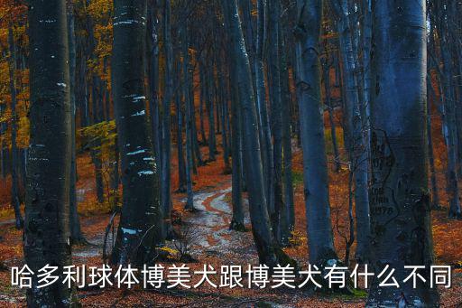 哈多利球體博美犬跟博美犬有什么不同