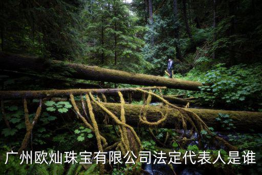 廣州歐燦珠寶有限公司法定代表人是誰