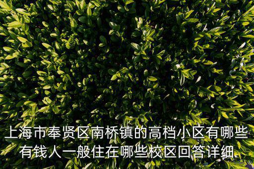 上海市奉賢區南橋鎮的高檔小區有哪些有錢人一般住在哪些校區回答詳細
