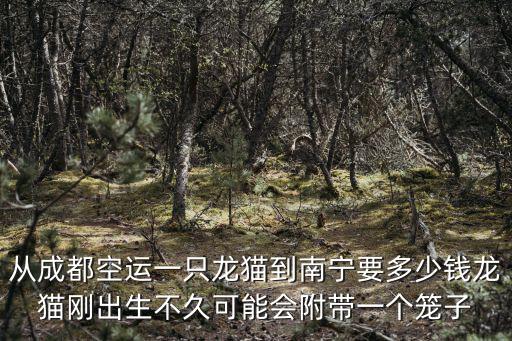 從成都空運一只龍貓到南寧要多少錢龍貓剛出生不久可能會附帶一個籠子