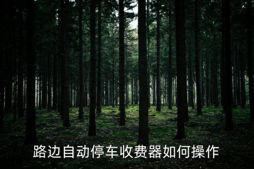 美國(guó)停車收費(fèi)機(jī)器怎么操作，路邊自動(dòng)停車收費(fèi)器如何操作