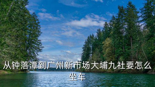 廣州大埔菜市場，從鐘落潭到廣州新市場大埔九社要怎么坐車