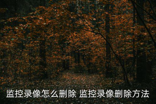監控錄像怎么刪除 監控錄像刪除方法
