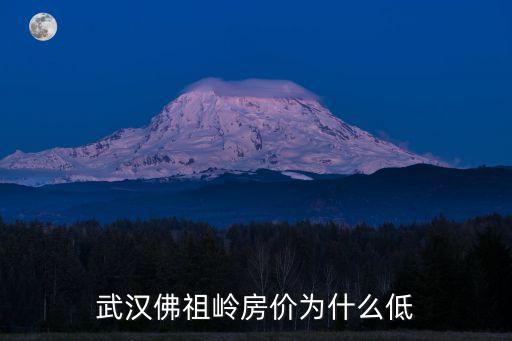 武漢佛祖嶺房?jī)r(jià)為什么低