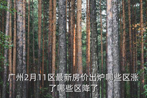 廣州2月11區最新房價出爐哪些區漲了哪些區降了