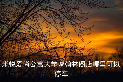 米悅愛尚公寓大學城翰林閣店哪里可以停車