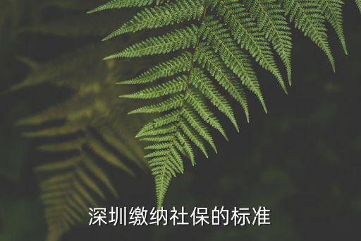 深圳繳納社保的標準