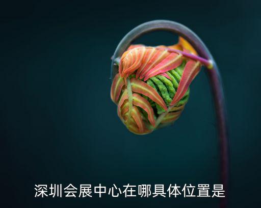 深圳會展中心具體地點，深圳國際會展中心指的是哪個地方啊