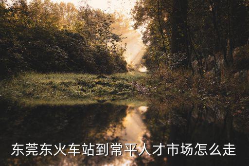 從東莞東到人才市場，東莞市離東城最近的人才市場是哪個在什么地方從東站怎么坐車過