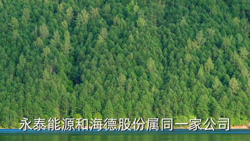永泰能源和海德股份屬同一家公司