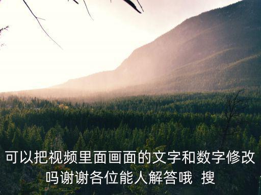 可以把視頻里面畫面的文字和數字修改嗎謝謝各位能人解答哦  搜
