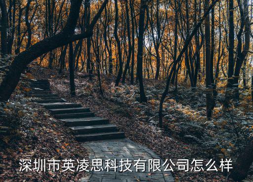 深圳市英凌思科技有限公司怎么樣