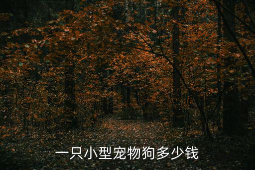 一只小型寵物狗多少錢