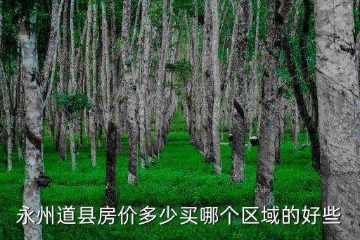 永州道縣房價多少買哪個區域的好些