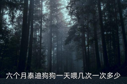 六個月泰迪狗狗一天喂幾次一次多少